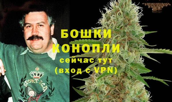 амф Россошь
